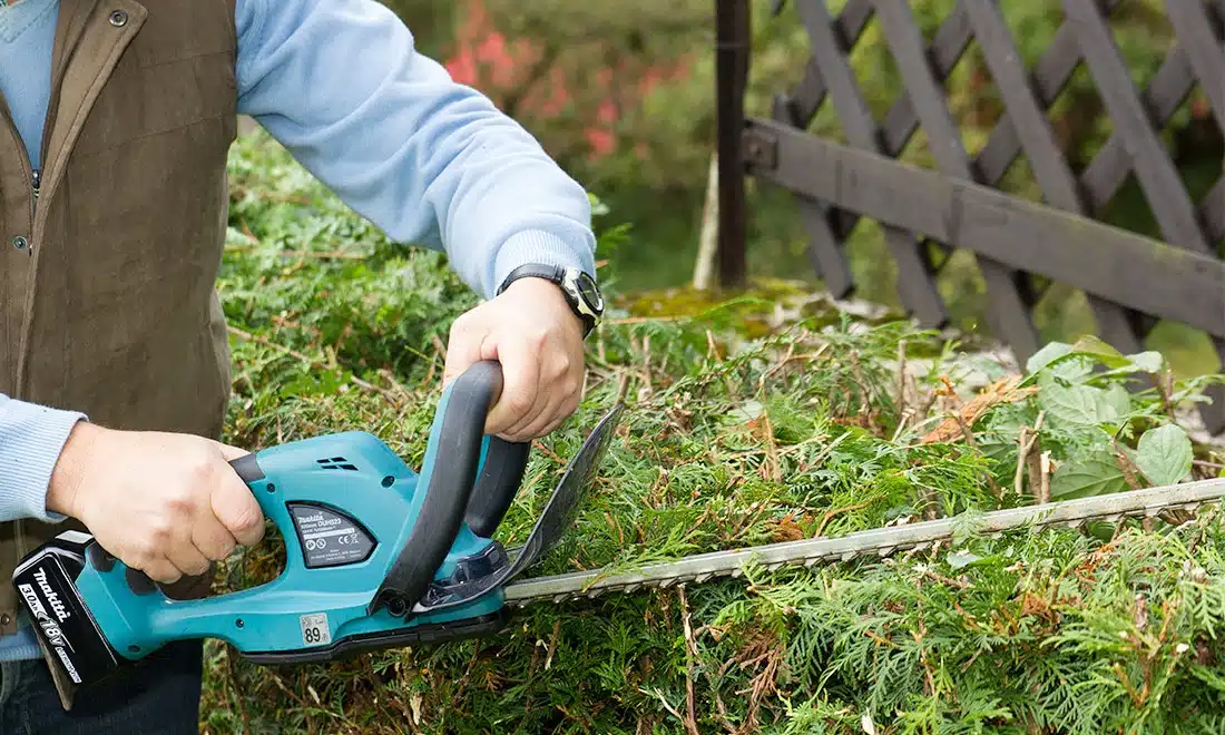 Quelles mesures de sécurité prendre pour utiliser un taille-haie ?